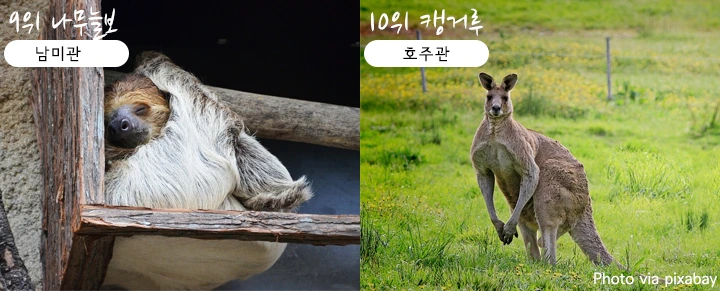 mug_obj_146347656878365890.png?type=w1080