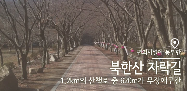 mug_obj_146155109503434524.png?type=w1080