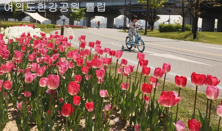 mug_obj_14621633367579455.png?type=w1080