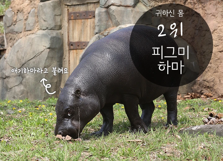 mug_obj_146347569534395890.png?type=w1080