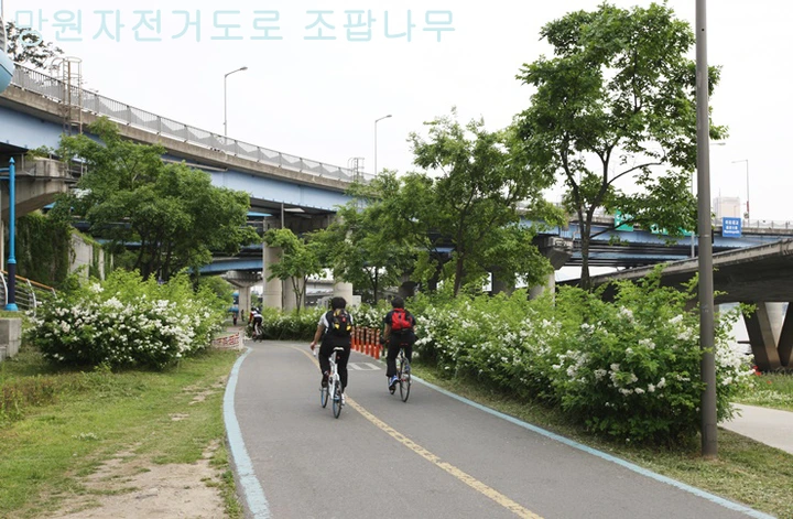 mug_obj_146216326433554306.png?type=w1080