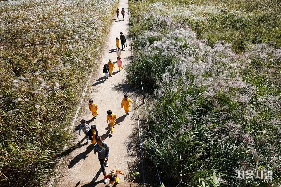 201811_05_3.jpg?type=w966