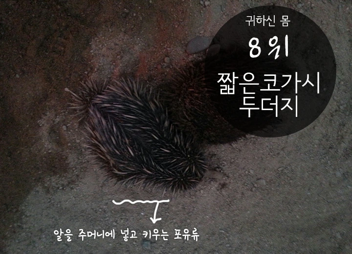 mug_obj_146347585874761771.png?type=w1080