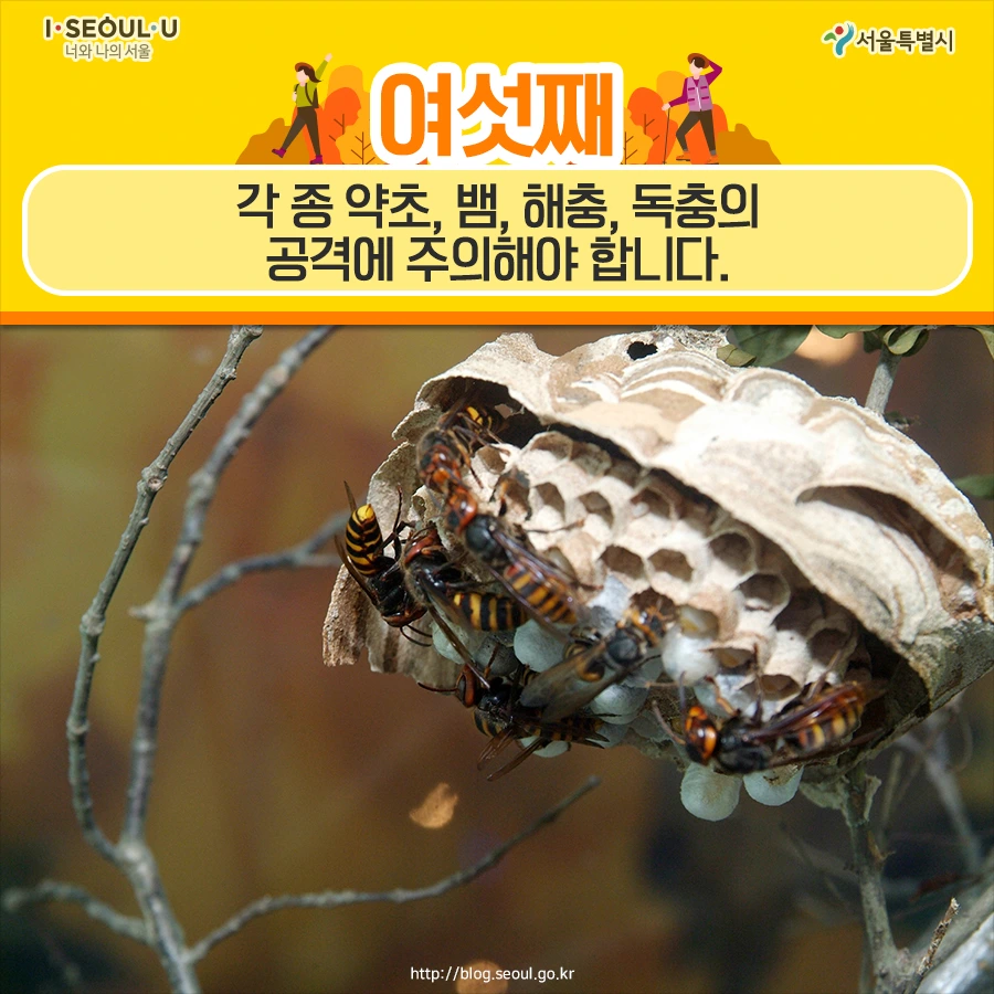 180927_%EC%84%9C%EC%9A%B8%EC%8B%9C_%EC%B9%B4%EB%93%9C%EB%89%B4%EC%8A%A4_%EC%82%B0%EC%95%85%EC%82%AC%EA%B3%A0_8.jpg?type=w966