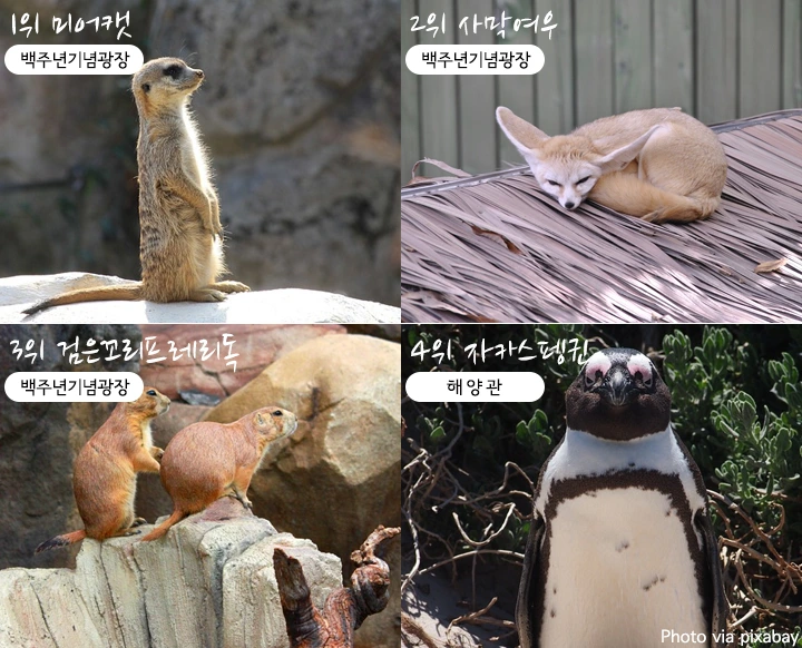 mug_obj_146347651117017573.png?type=w1080