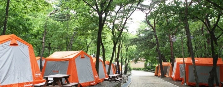 mug_obj_146457105686059711.jpg?type=w1080