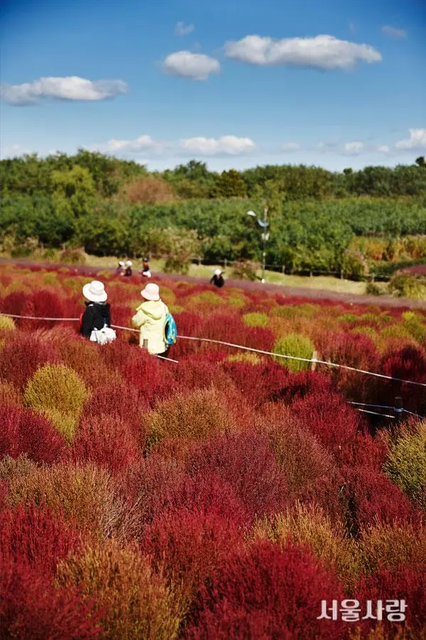 201811_05_6.jpg?type=w966