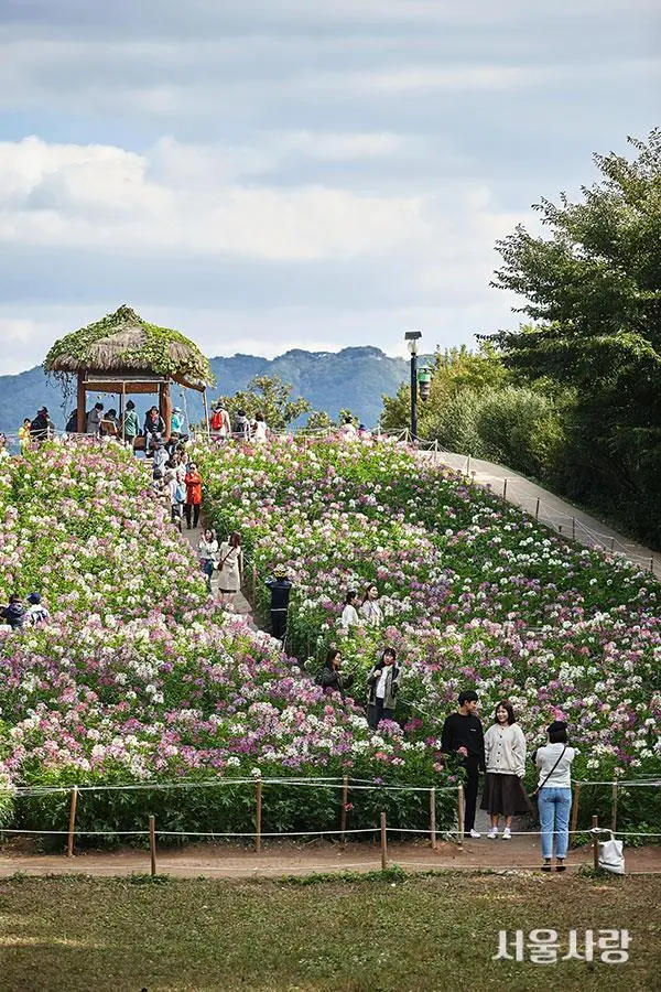 201811_07_2.jpg?type=w966