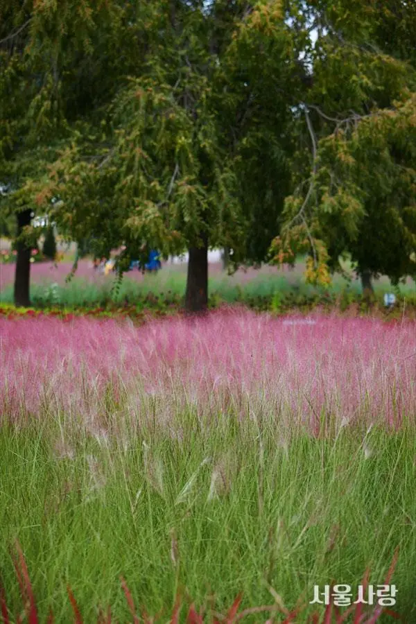 201811_08_4.jpg?type=w966