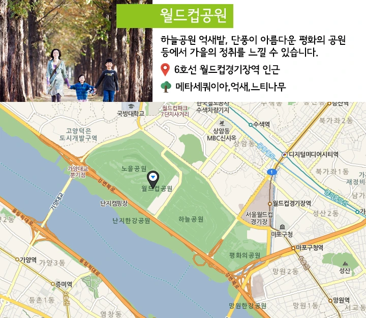 공원_월드컵공원.png