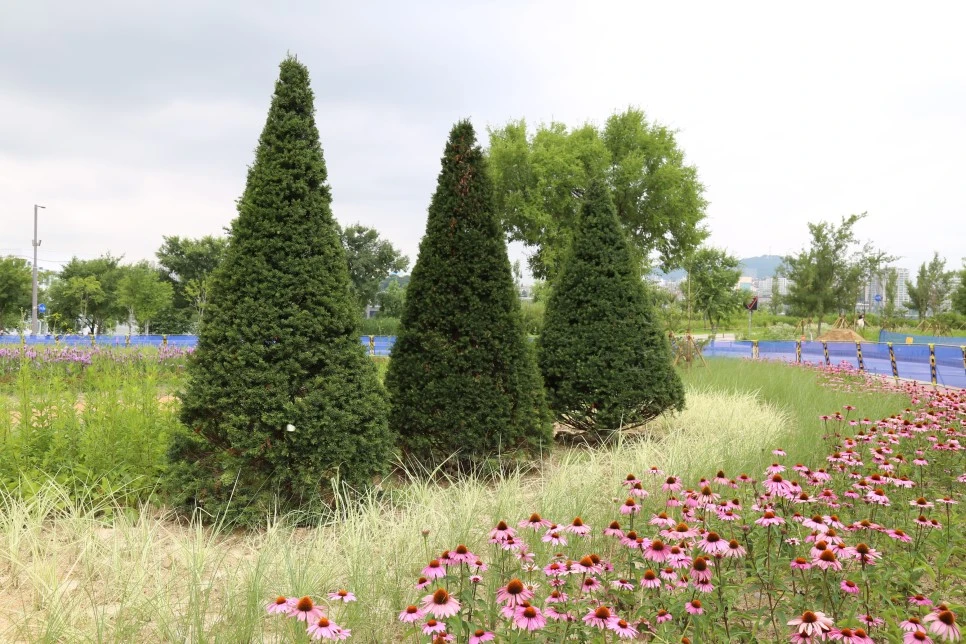 IMG_9480.JPG?type=w966