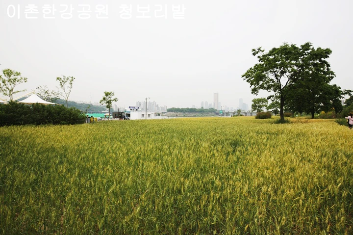 mug_obj_14621631750242437.png?type=w1080