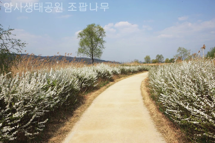 mug_obj_146216277301220061.png?type=w1080