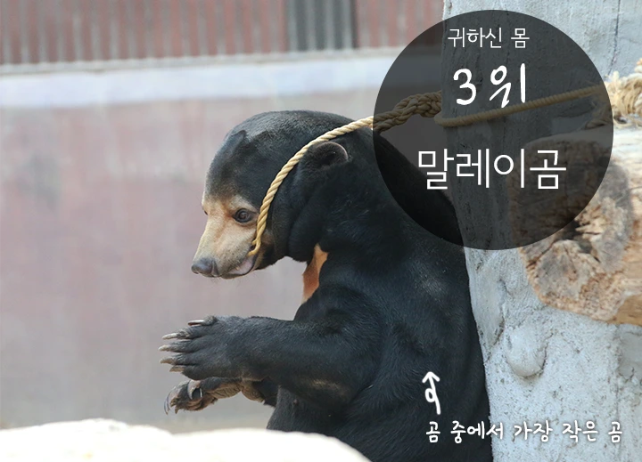 mug_obj_146347572110072503.png?type=w1080