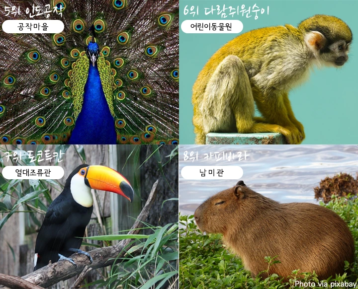 mug_obj_14634765411623061.png?type=w1080