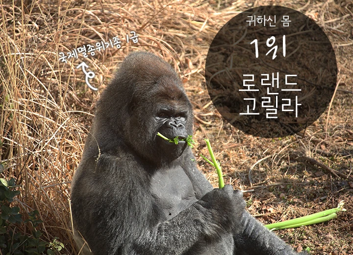 mug_obj_146347566080937411.png?type=w1080