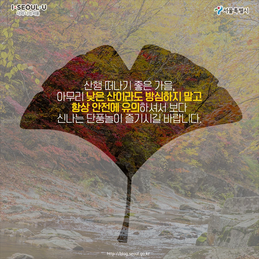 180927_%EC%84%9C%EC%9A%B8%EC%8B%9C_%EC%B9%B4%EB%93%9C%EB%89%B4%EC%8A%A4_%EC%82%B0%EC%95%85%EC%82%AC%EA%B3%A0_10.jpg?type=w966