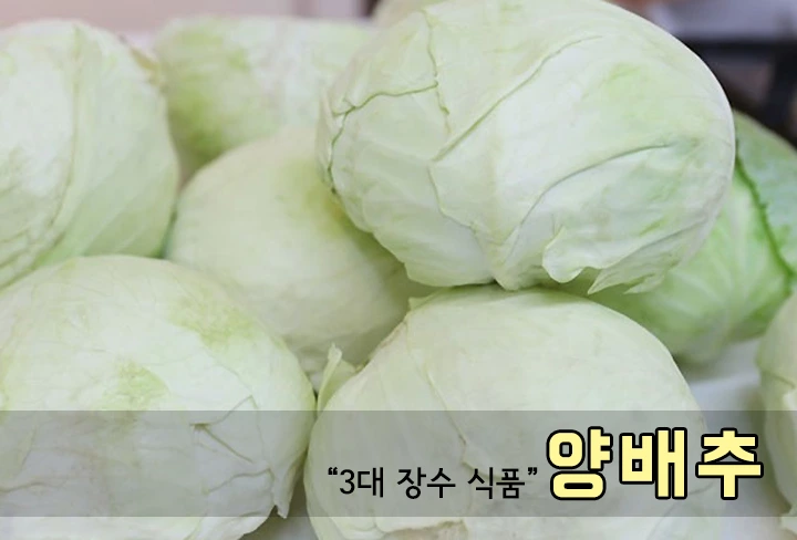 4_양배추.png