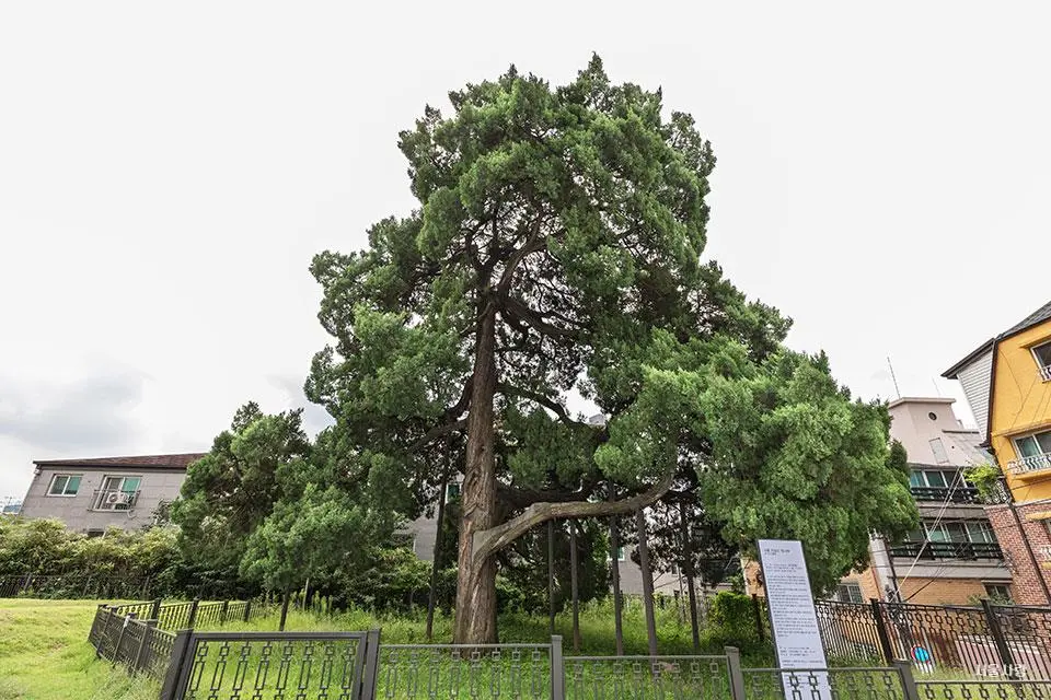 201810_47_7.jpg?type=w966