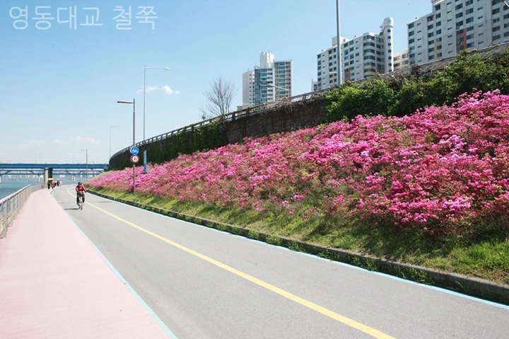 mug_obj_146216296402647736.png?type=w1080