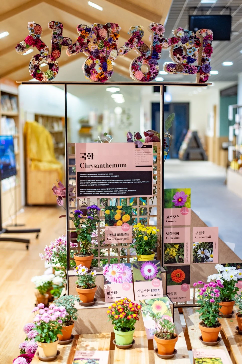 20181106_Ankook_SSSH_0070.jpg?type=w966