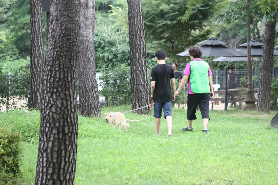 유기견과 함께하는 행복한 산책.jpeg
