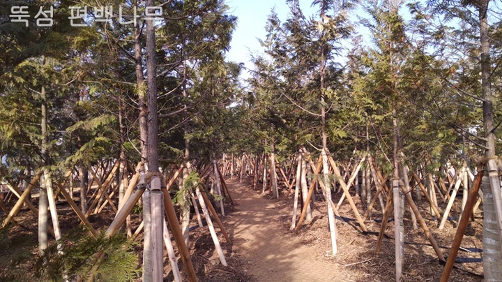 mug_obj_146216292938928603.png?type=w1080