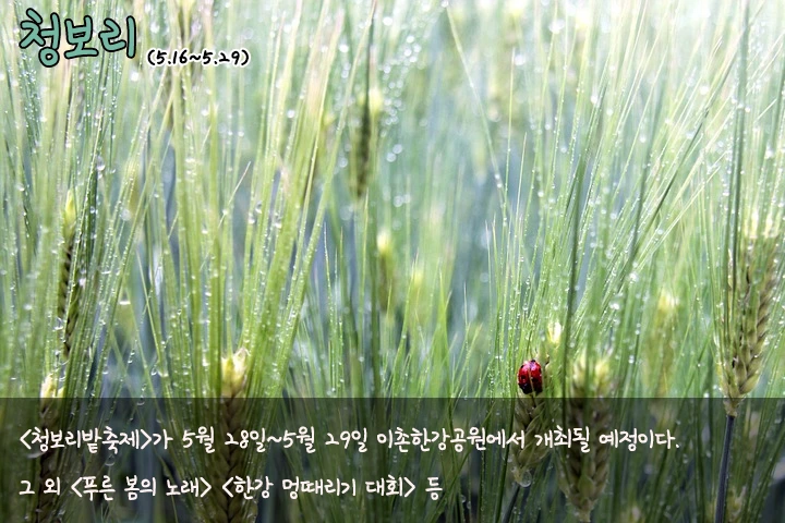 mug_obj_145922738116177397.png?type=w1080