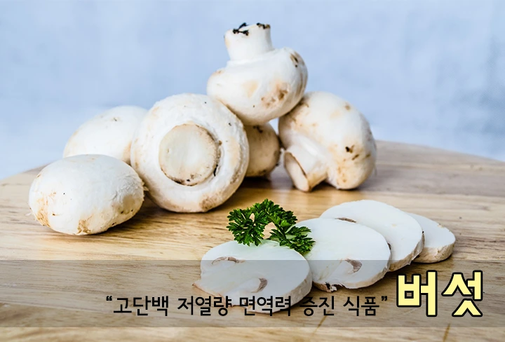 3_버섯.png