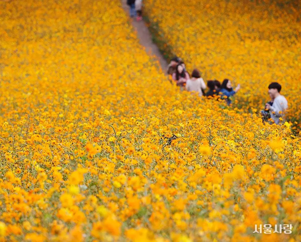 201811_06_2.jpg?type=w966