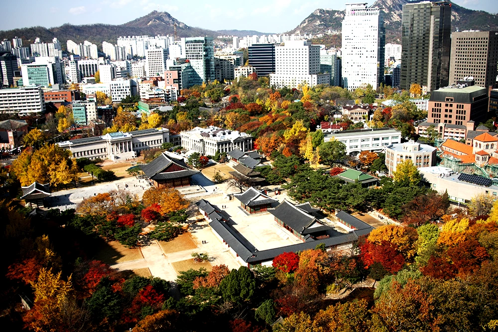 덕수궁 가을.png