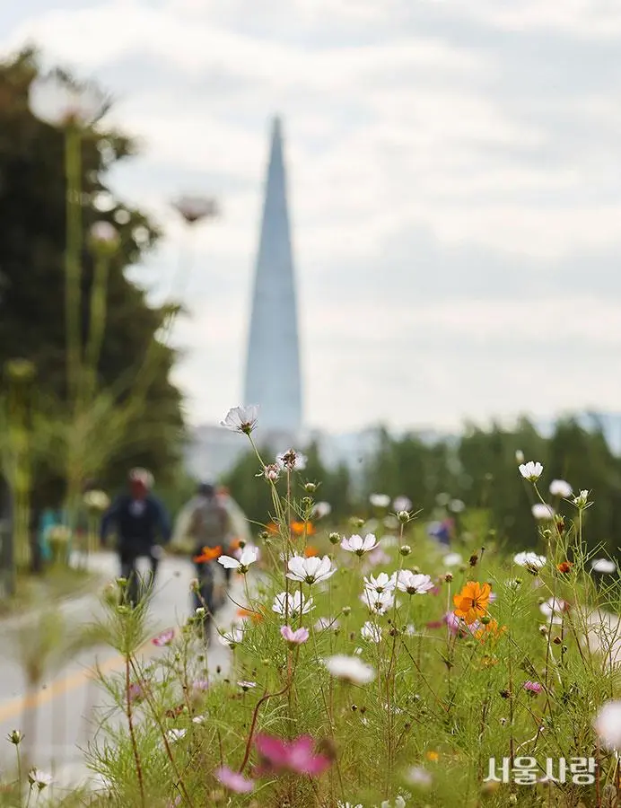 201811_09_2.jpg?type=w966