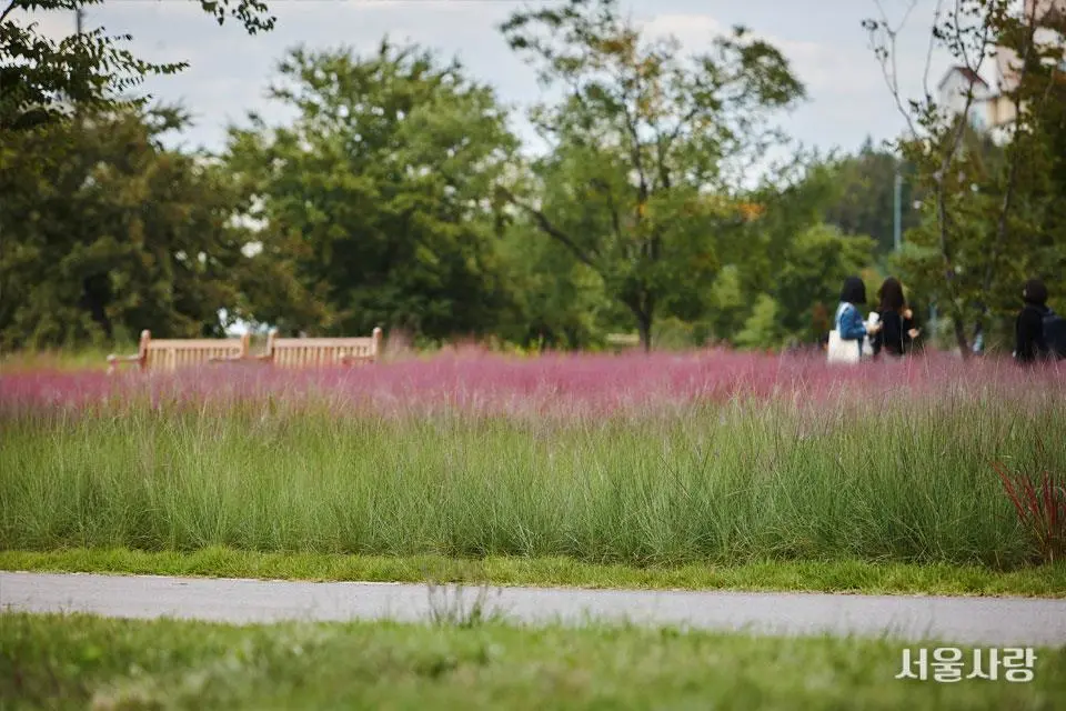 201811_08_3.jpg?type=w966