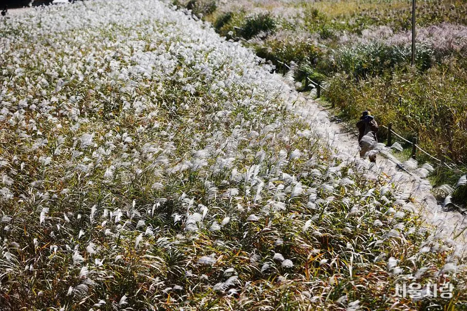 201811_05_4.jpg?type=w966