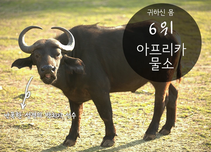 mug_obj_146347580655461729.png?type=w1080