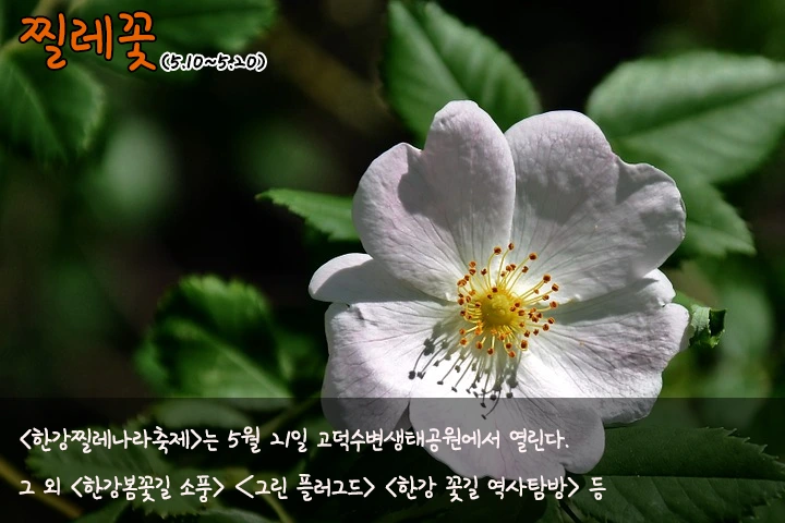 mug_obj_145922732421348052.png?type=w1080