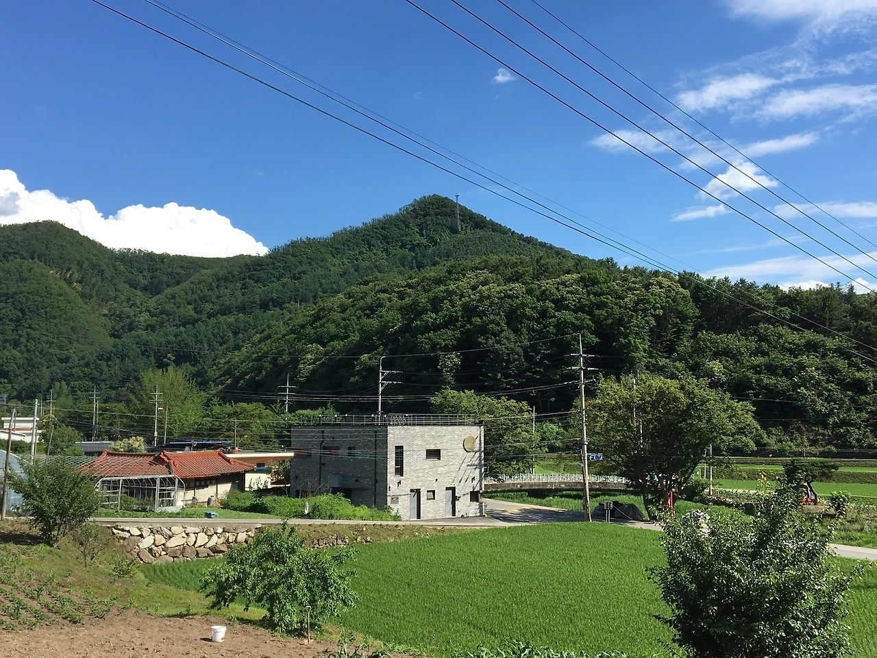 02_여름논뷰 레스토랑.JPG