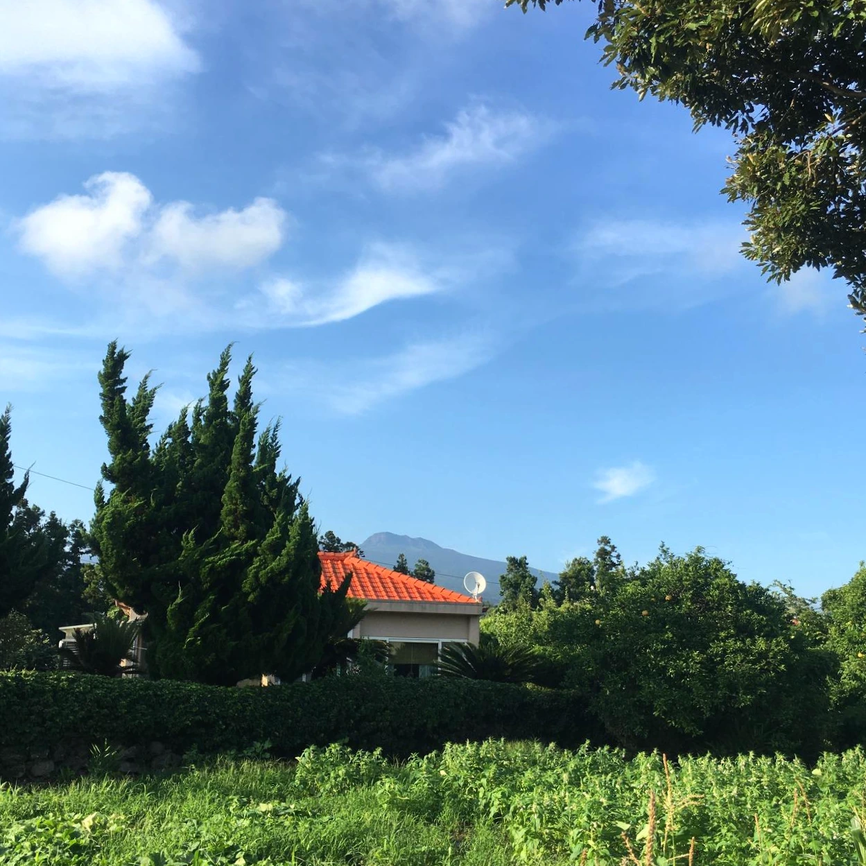 P20210710_175931821_290CFD04-1217-4397-8933-CAF3621485C7 (1).JPG