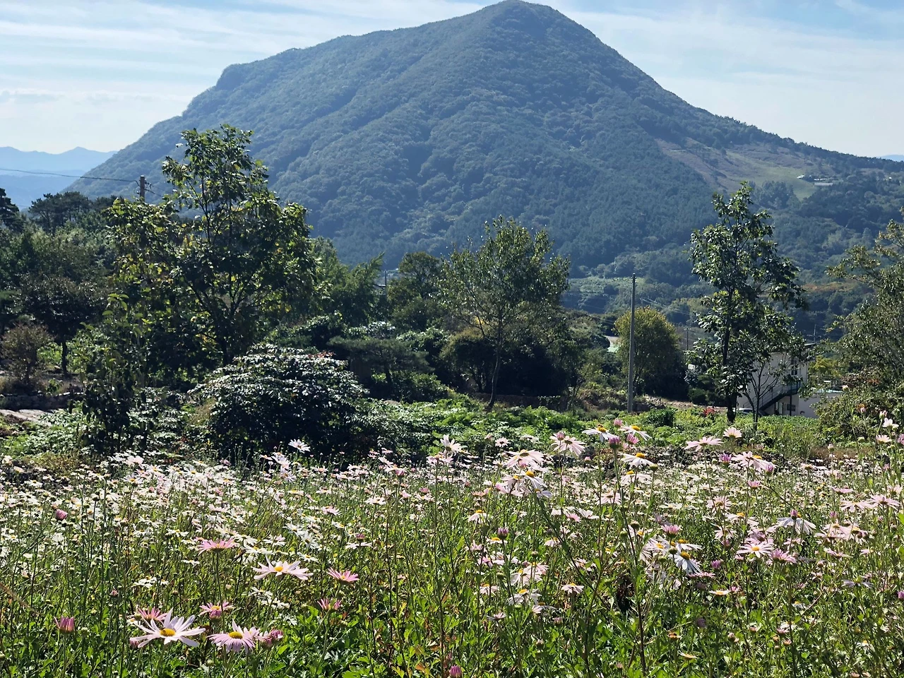 GaWTbQ8I9ujbLZ6U1BDpzcsiOj5vuU1tg4zrFOUTZQF7AJlqfUBnDEVAGf4hoZ4lBGcEUK1SVoJJs7WIALbuUdVQP6Ti0oErFDeIatUDBnLhRioU-pCjd_wqVKX7B9-25UdEAUM6=s0