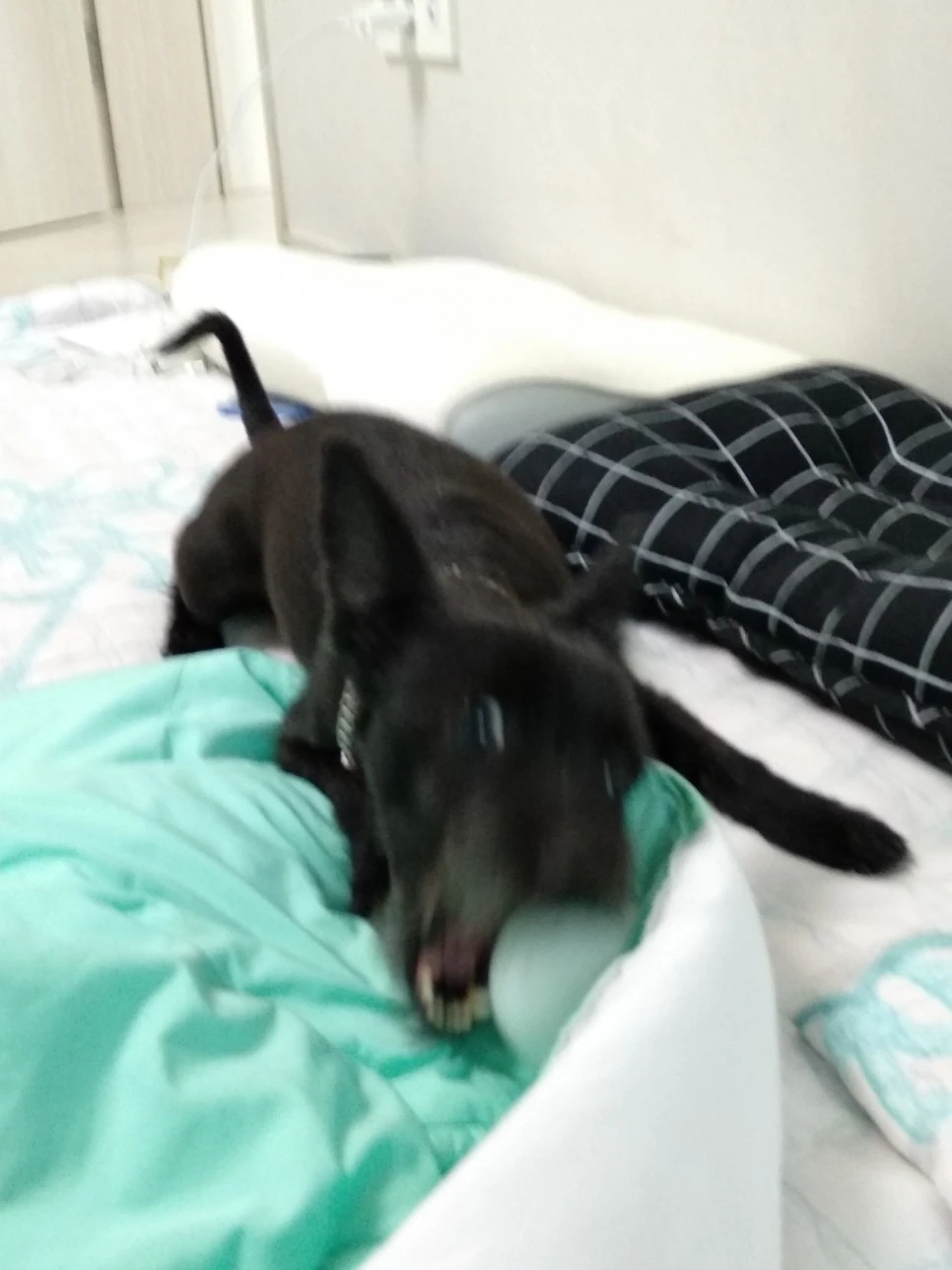 IMG_20180611_190302.jpg?type=w966