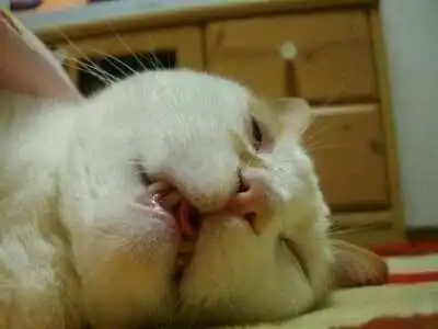 1321529839018.jpg?type=w1