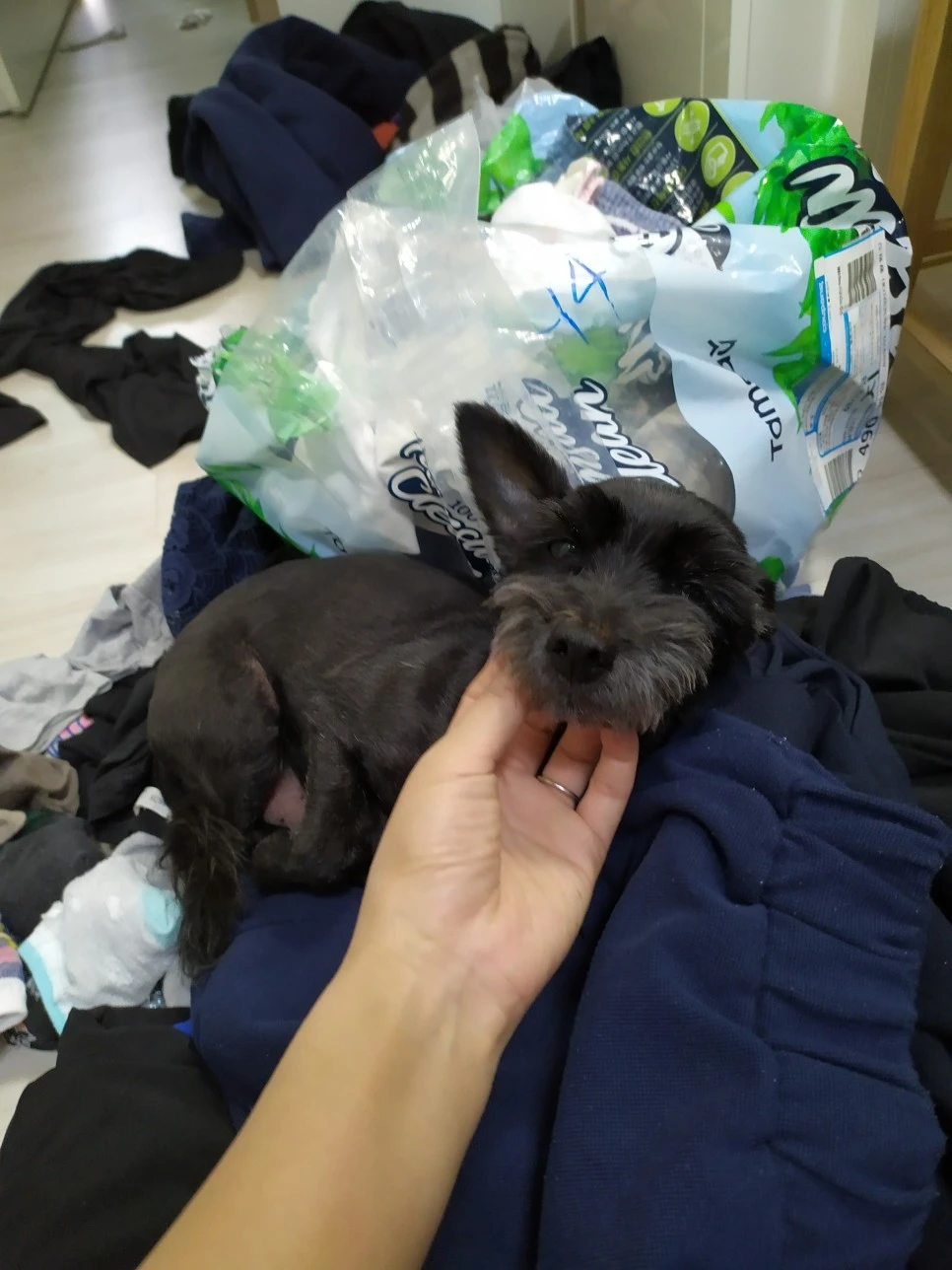 IMG_20190611_120013.jpg?type=w966