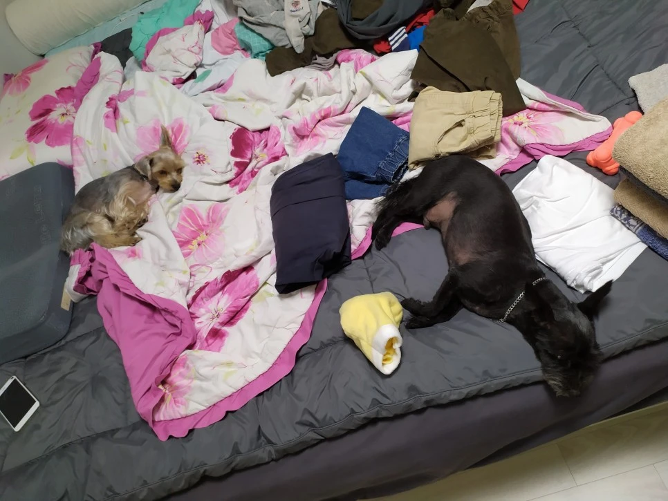 IMG_20190611_224309.jpg?type=w966