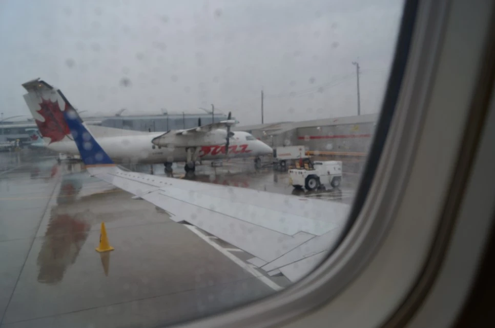 DSC09319.JPG?type=w966