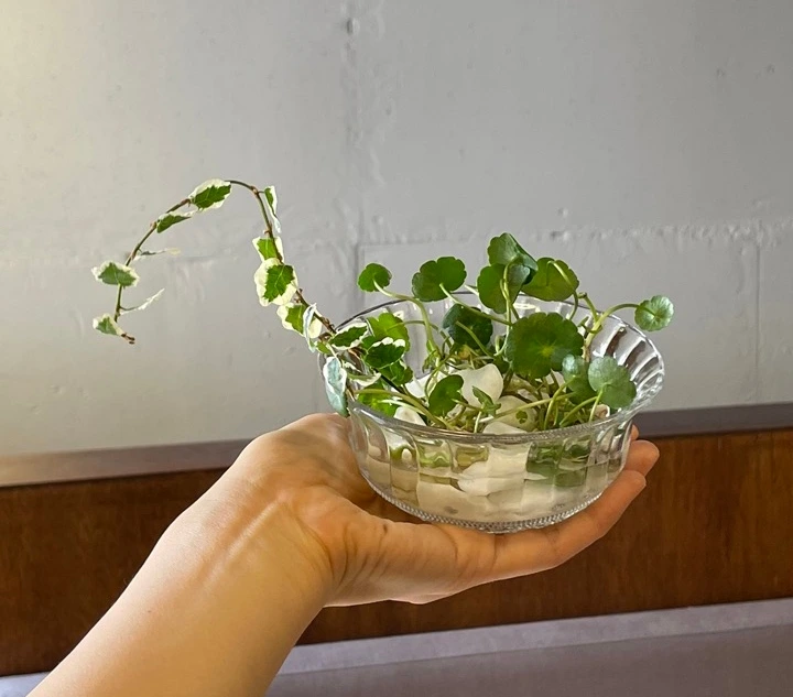 IMG_4750 크게.jpeg