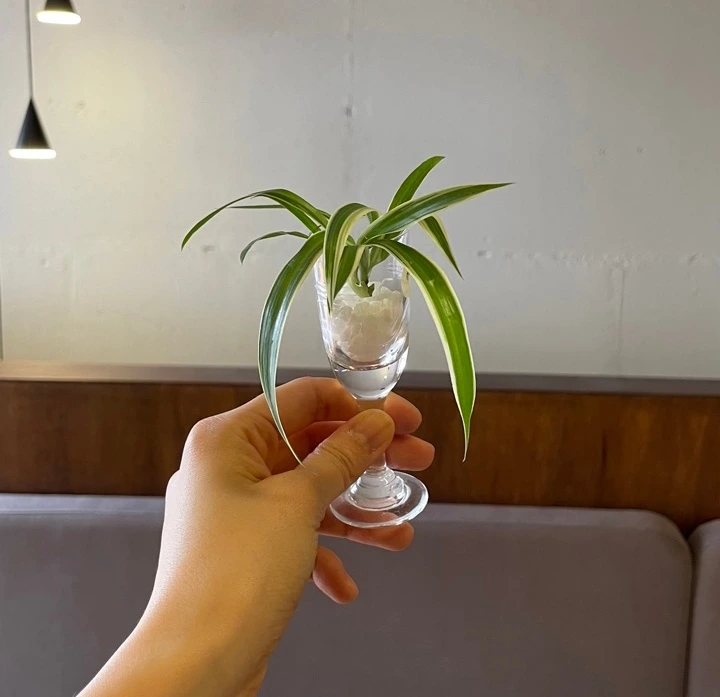 IMG_4764 크게.jpeg