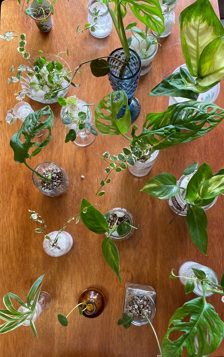 IMG_4769 크게.jpeg