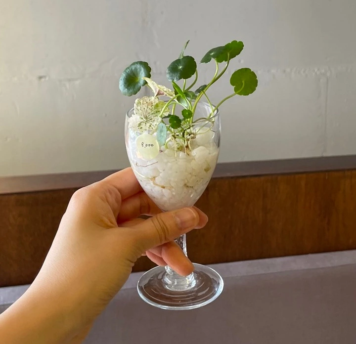 IMG_4756 크게.jpeg