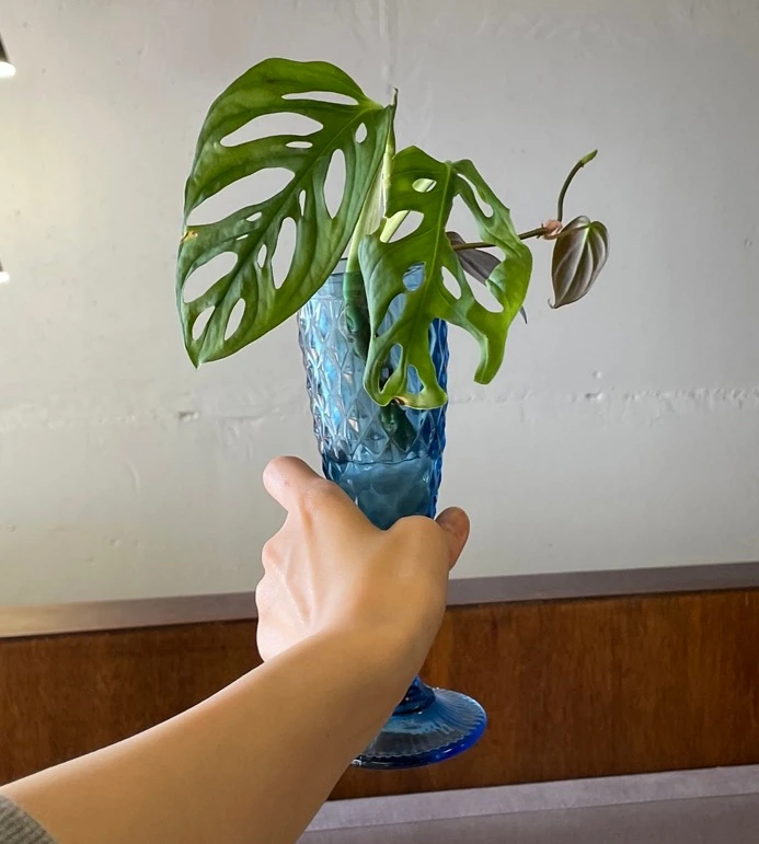 IMG_4754 크게.jpeg