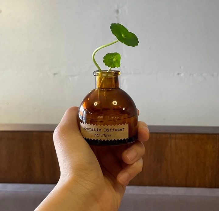 IMG_4763 크게.jpeg